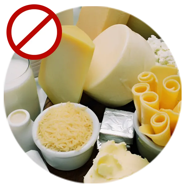 sqf nutricao alimentos nao permitidos laticineos