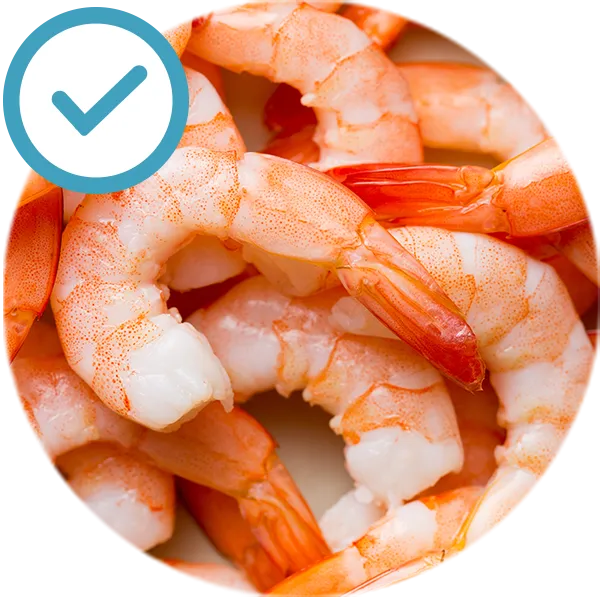 sqf nutricao alimentos permitidos mariscos camarao lula lagosta